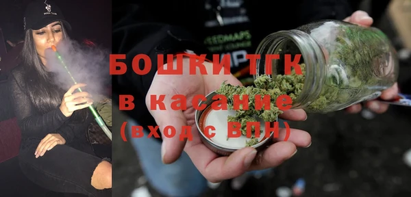 индика Армянск