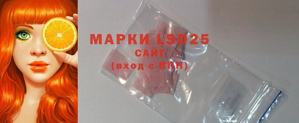 индика Армянск