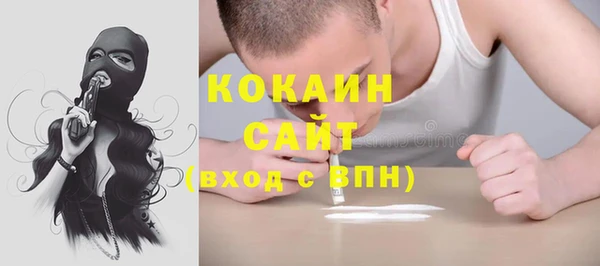 индика Армянск