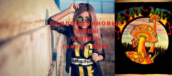 крисы Арсеньев