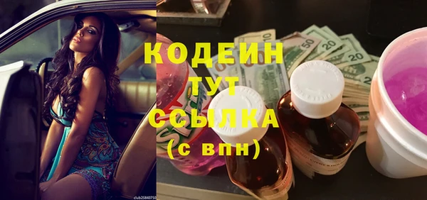 индика Саяногорск