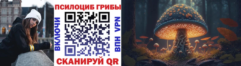 Галлюциногенные грибы Psilocybine cubensis продажа наркотиков Барабинск