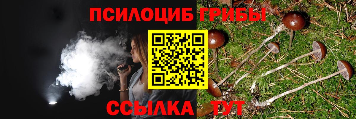 Галлюциногенные грибы мухоморы Барабинск